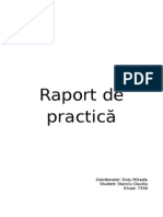 Raport de Practica_final