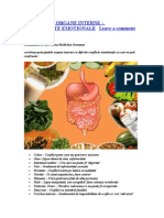 Corelarea Organe Interne