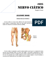 025 - Anatomy Book - Nervo Ciático