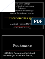 pseudomonasmahadippt-130213125429-phpapp02