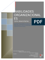 Habilidades Organizacionales