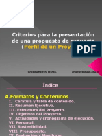 PERFIL- PROYECTO