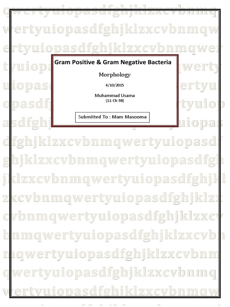 Morphology of Gram-Positive and Negative Bacteria | PDF | Gram Positive ...