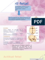 Factores Movil y Motor