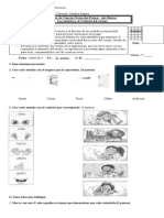 Prueba Ciencias Unidad 1