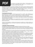 Carta de Recomendación (Personal)  Business