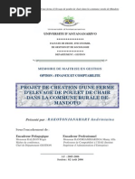 Plan D Affaires Elevage Pondeuses Pdf Investir Banques