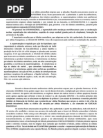 Revisão Embriologia