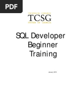 SqlDeveloper Beginner Training