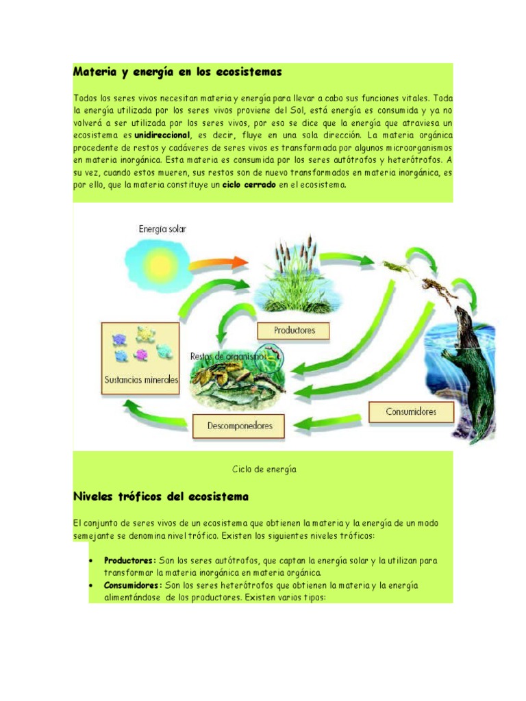 Materia y Energía en Los Ecosistemas