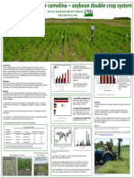 camelina sativ a