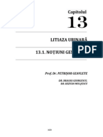 13.1dddda22 Litiaza Urinara