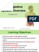 Digestive System - Part 1