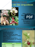 Familia Orchidaceae (Orquídeas)