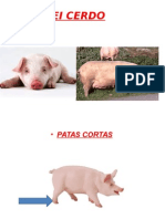 Ei Cerdo