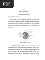 Download referat Otitis Media Supuratif Kronik by takumi_inui SN267492011 doc pdf