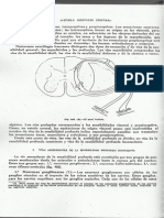 Vias Senibilidad Profunda Consciente