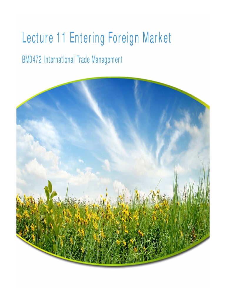 Foreign Market Entry Strategies Explained | PDF | Mergers And ...