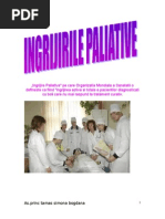 ingrijiri paliative