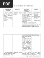 Plan de Ingrijire Anemie