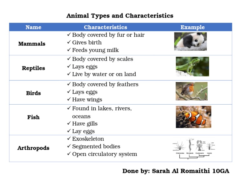Animal Types | PDF