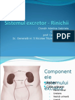 Sistemulexcretor Rinichii