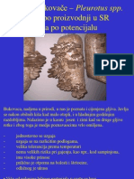06 Bukovaca PDF