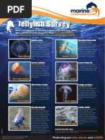 Download MarineConservationSocietyJellyfishGuidebyIWCPOnlineSN267537899 doc pdf
