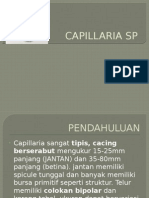 Capillaria SP