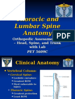 FIU - Thoracic and Lumbar Spine Anatomy