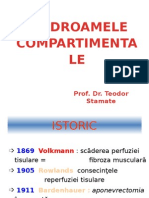 Sindromul Compartimental