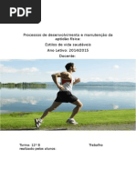 Processos de desenvolvimento e manutenção da aptidão física