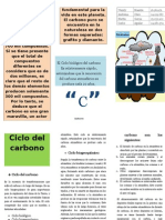 Triptico Ciclo Del Carbon1