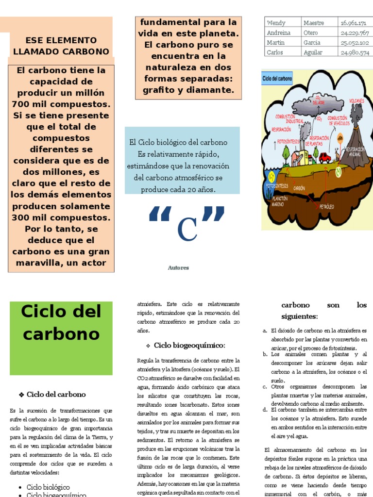 Triptico Ciclo Del Carbon1 Carbón Dióxido de carbono