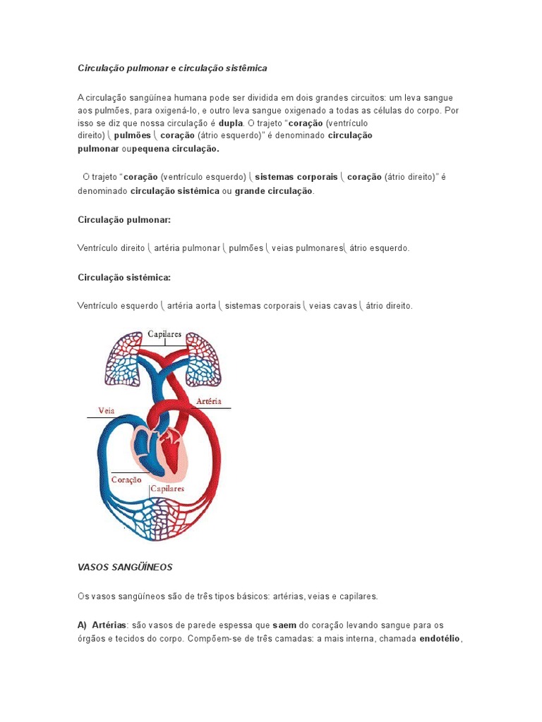 Circulação Pulmonar E Circulação Sistêmica Pdf