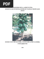 Instructivo Técnico Papaya 