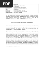 Recurso Proteccion Maintecillo 2 (1)