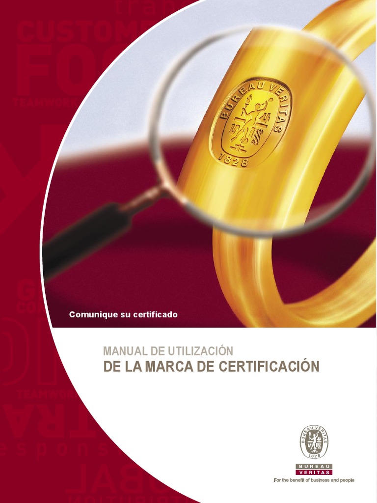Manual Uso Logo BVQi PDF Marca Iso 9000