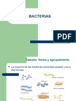 Formas, tamaños y componentes de las bacterias