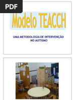 modeloteacch-120613150420-phpapp02