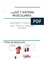 Tejido y Sistema Musculares