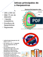 Características Principales de Los Herpesvirus