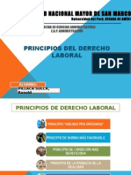 Principios de Derecho Laboral