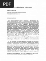 Download Drosophila a Life in the Laboratory Kohler by julin andrs  SN267613430 doc pdf