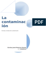 La Contaminación Ambiental Tarea234