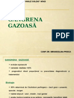 Gangrena Gazoasă