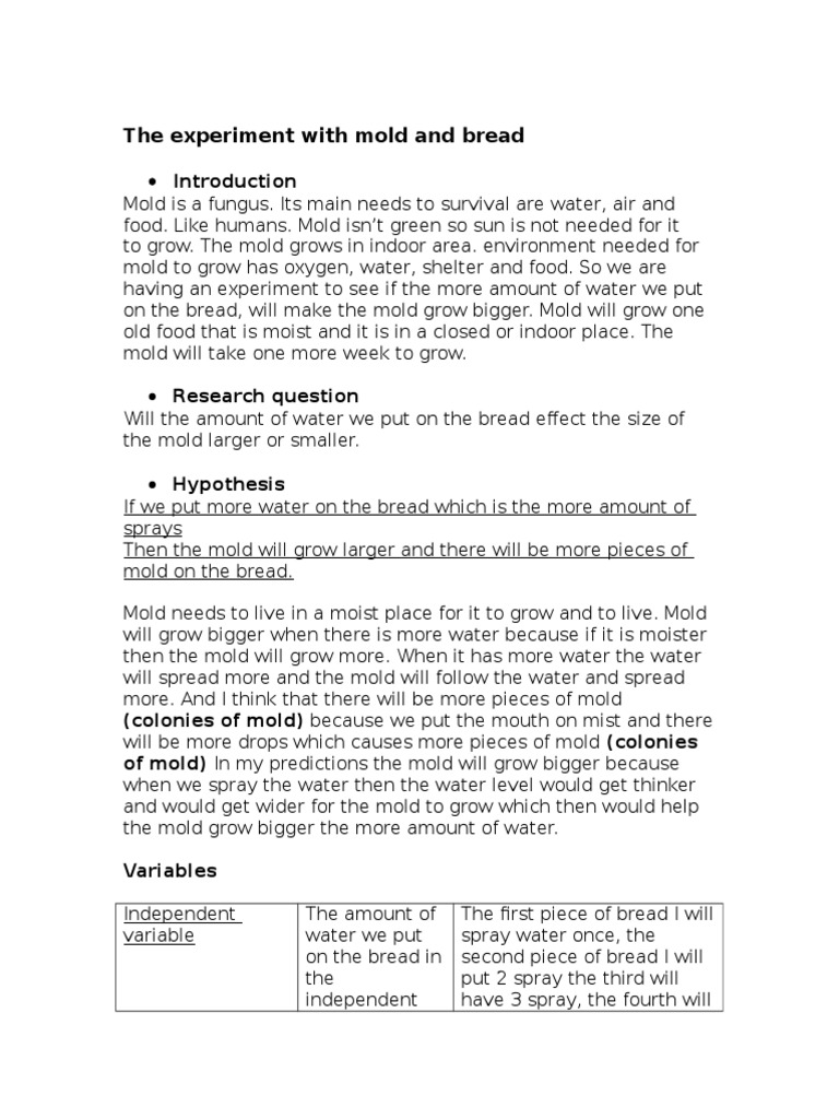 Mold swab test results image