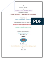 Excel Infotech & Pranav Agro Industries: A Study of Iso Certification