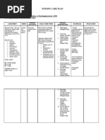 Nursing Care Plan