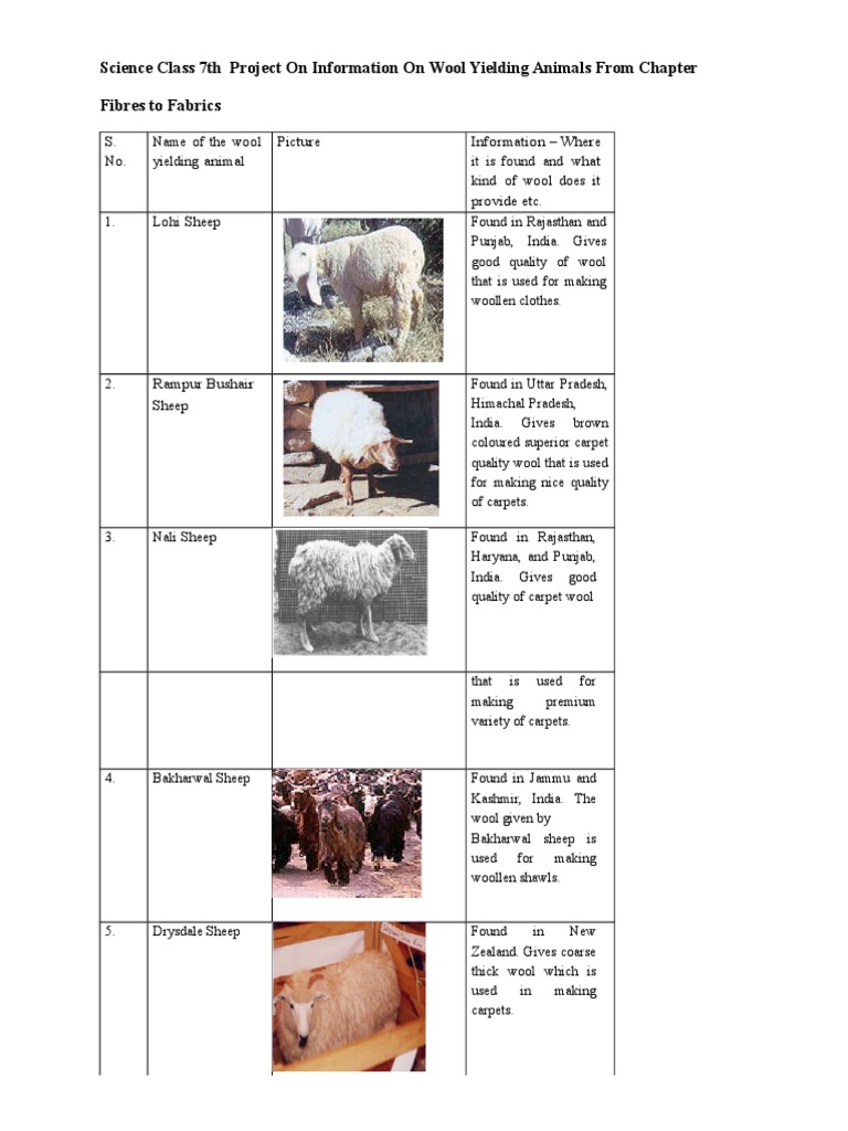 Science Class 7th Project on Information on Wool Yielding Animals From